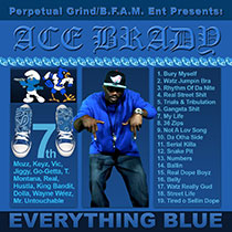 Ace Brady's album cover: Everything Blue