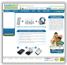Leader One website design